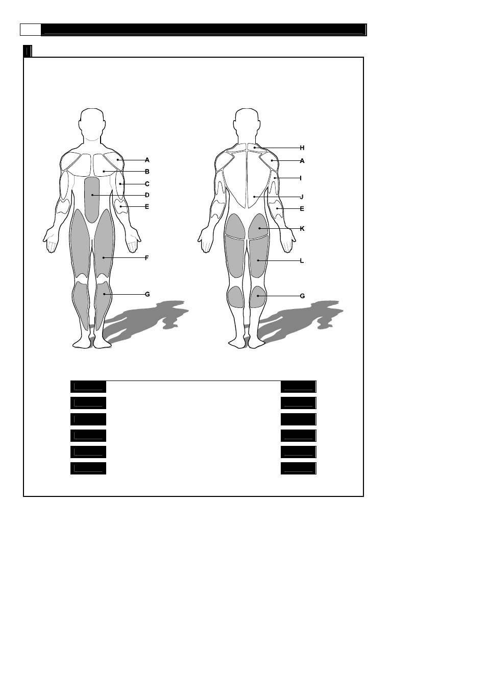 Muscle chart, Muscle groups | POLAR SMOOTH FITNESS DMT X2 User Manual | Page 34 / 45