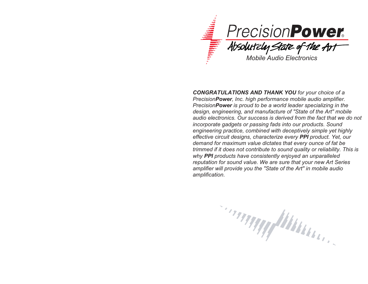 Precision Power A100.2 User Manual | Page 2 / 13