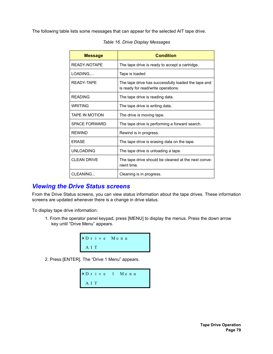 Viewing the drive status screens, Drive display messages | Plasmon V15 User Manual | Page 81 / 138