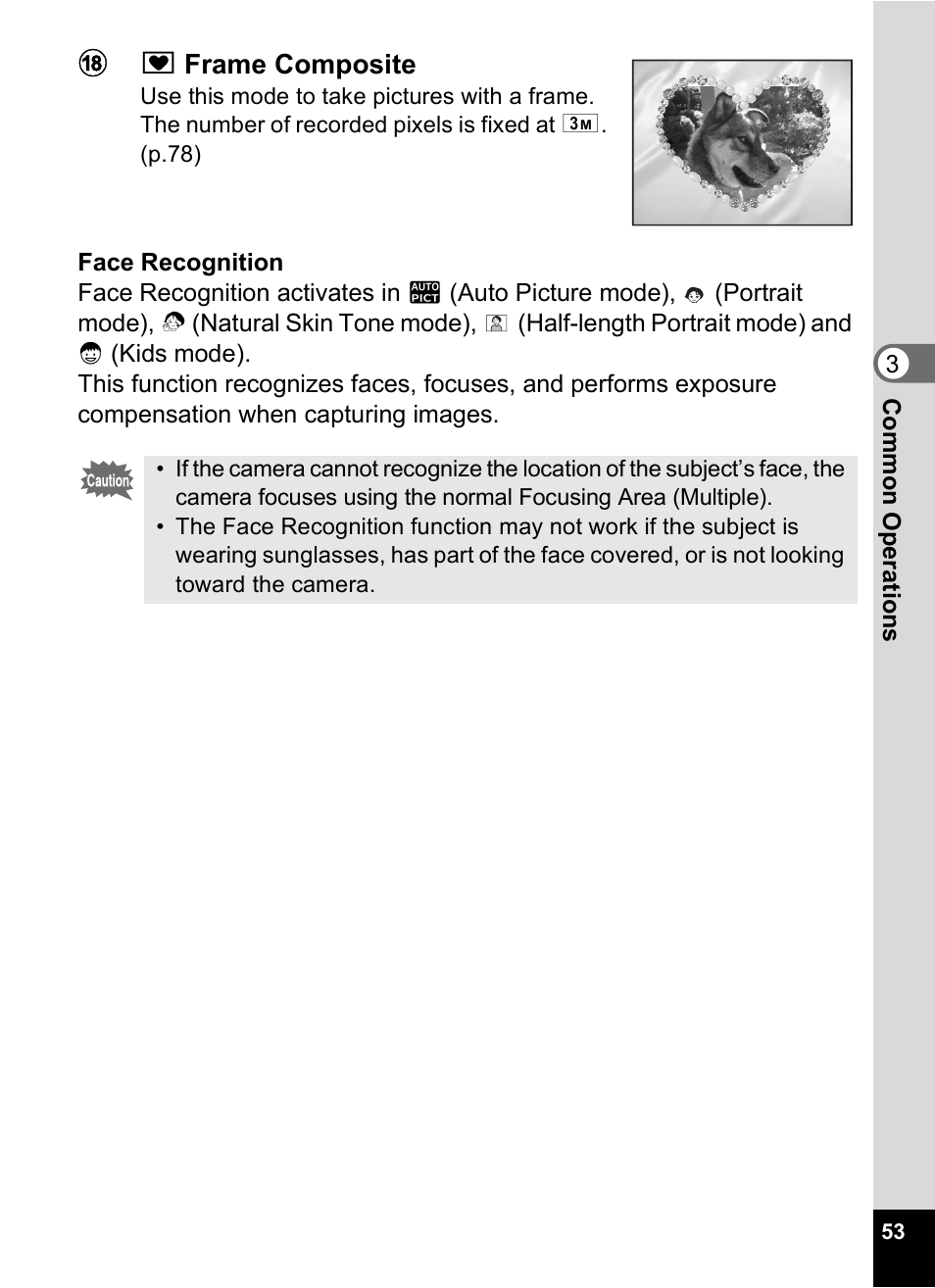 Pentax Optio S10 User Manual | Page 55 / 208