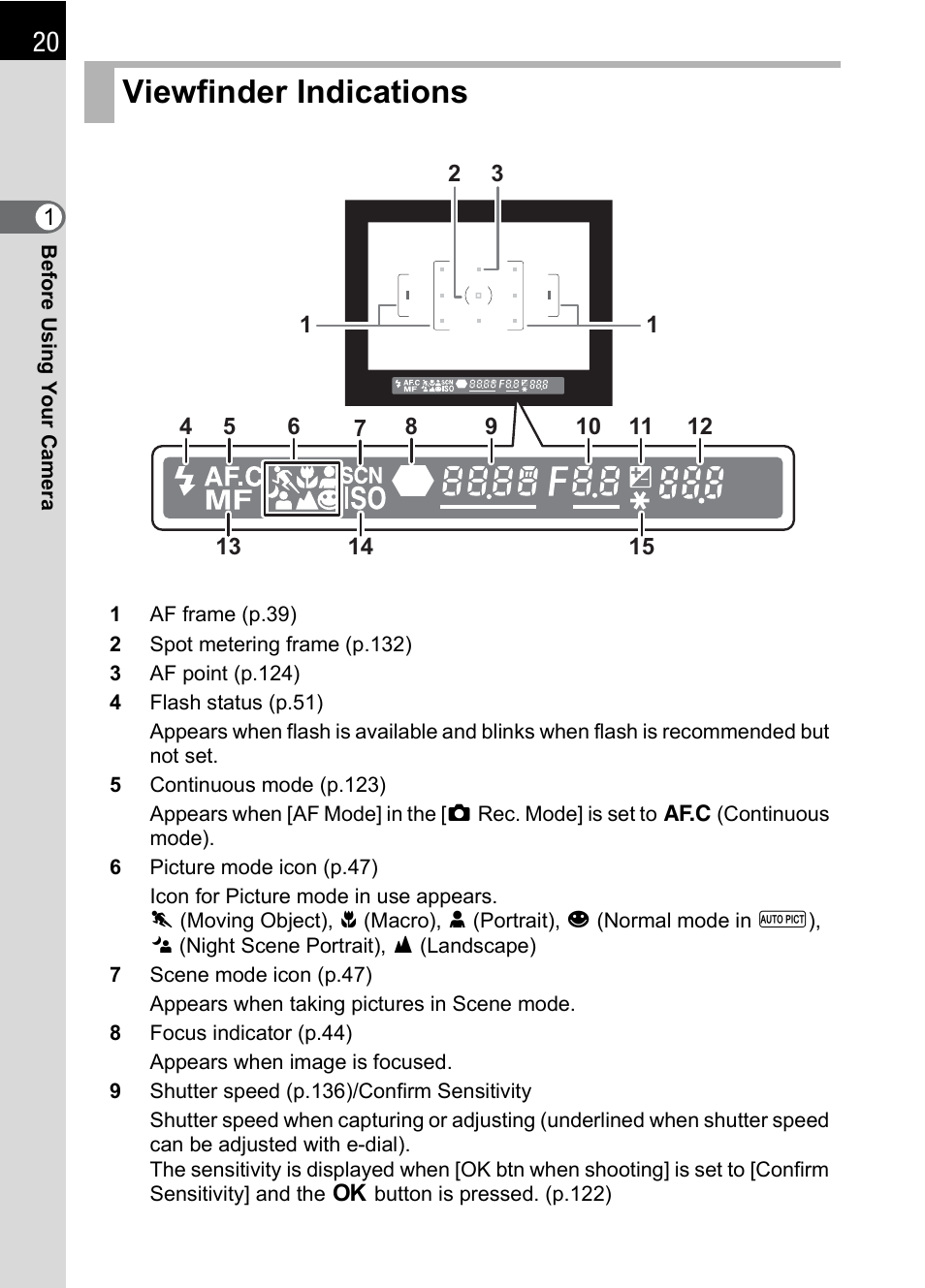 Viewfinder indications | Pentax K110D User Manual | Page 22 / 216