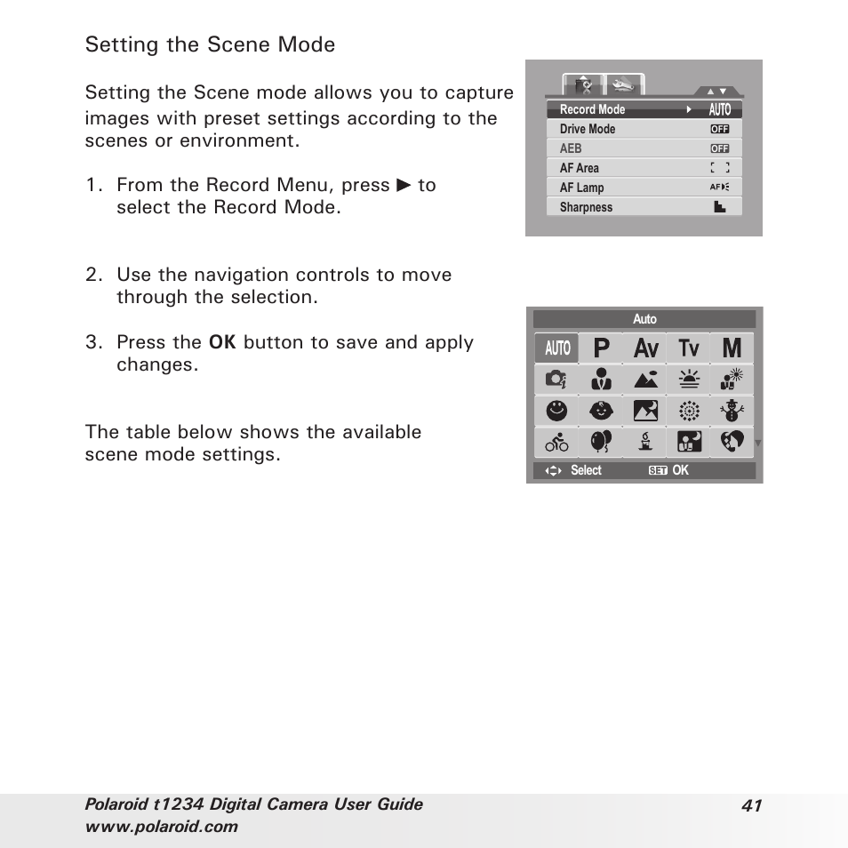 Setting the scene mode | Polaroid t1234 User Manual | Page 41 / 95
