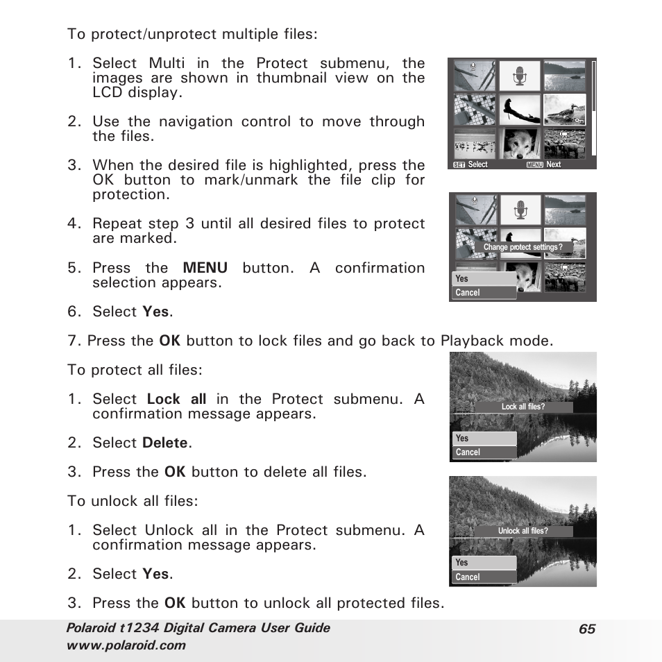 Polaroid t1234 User Manual | Page 65 / 95