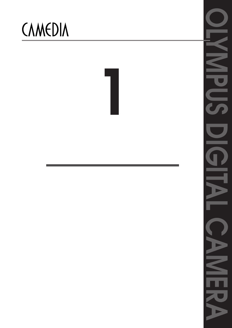 Polaroid D-360L User Manual | Page 19 / 61