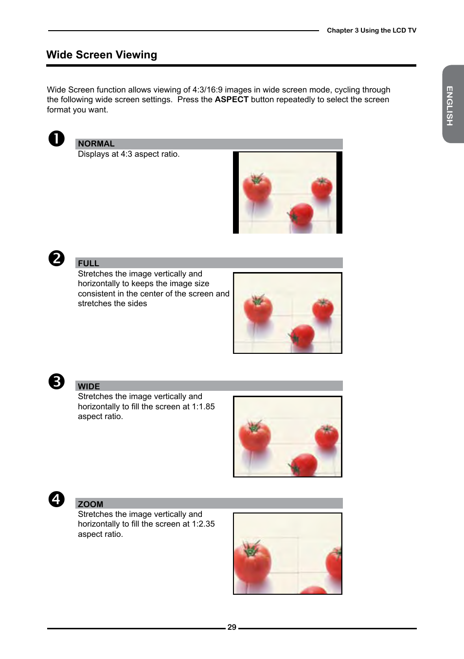 Wide screen viewing | Polaroid FLM-2632 User Manual | Page 30 / 59
