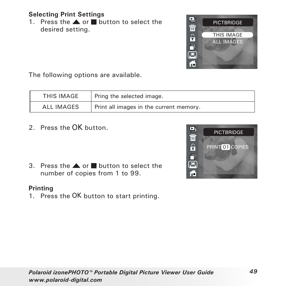 Polaroid User Guide User Manual | Page 49 / 70