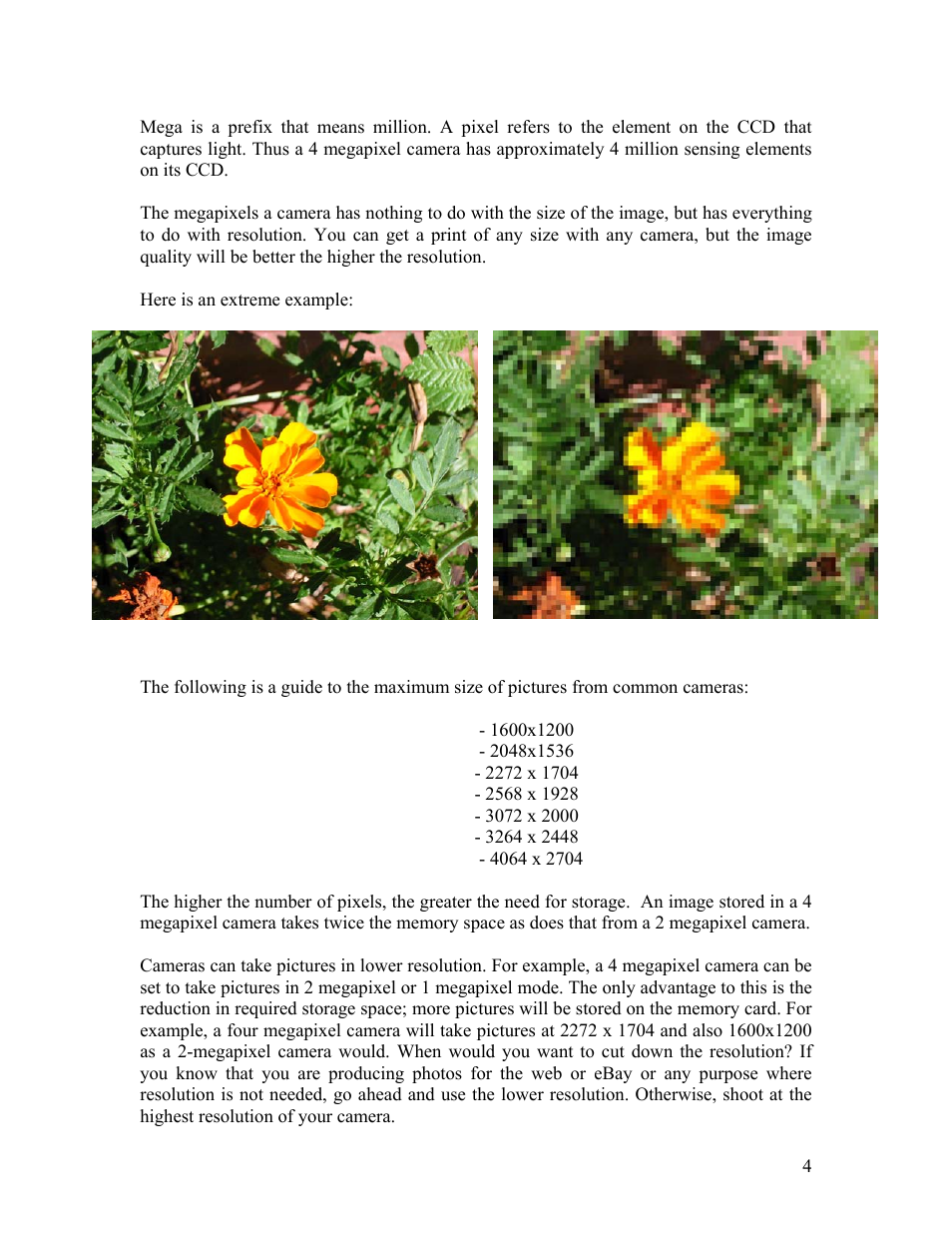 Polaroid Cameras I User Manual | Page 5 / 23