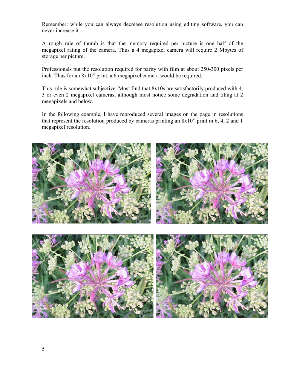 Polaroid Cameras I User Manual | Page 6 / 23