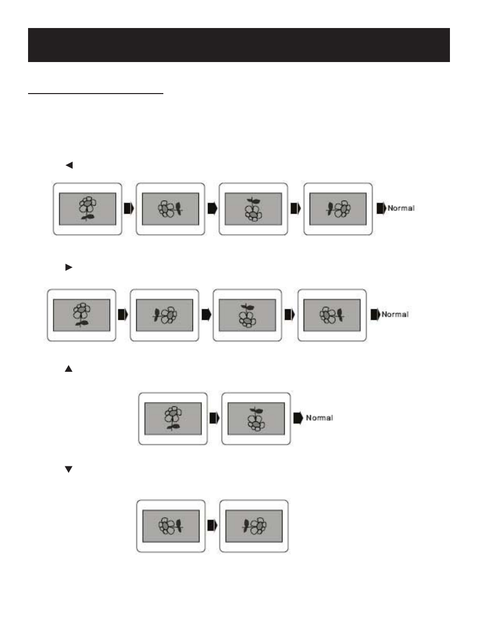 Playback operation | Polaroid 20080109 User Manual | Page 24 / 35