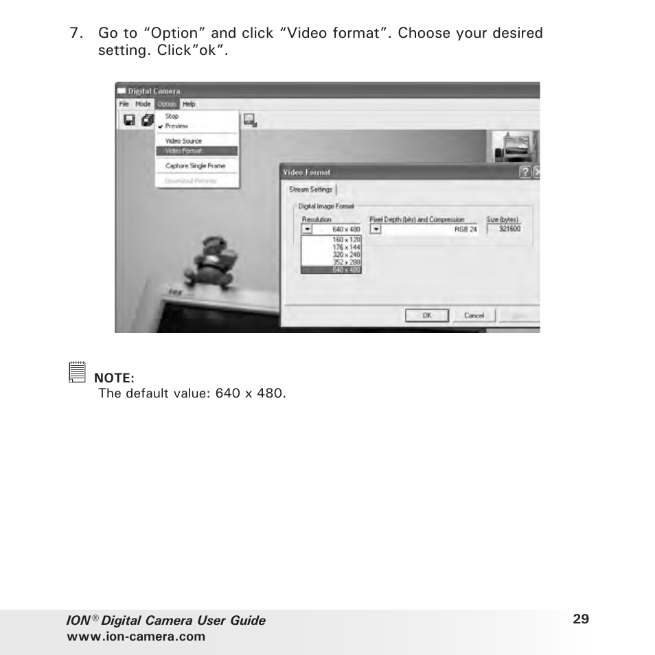 Polaroid ION User Manual | Page 29 / 51