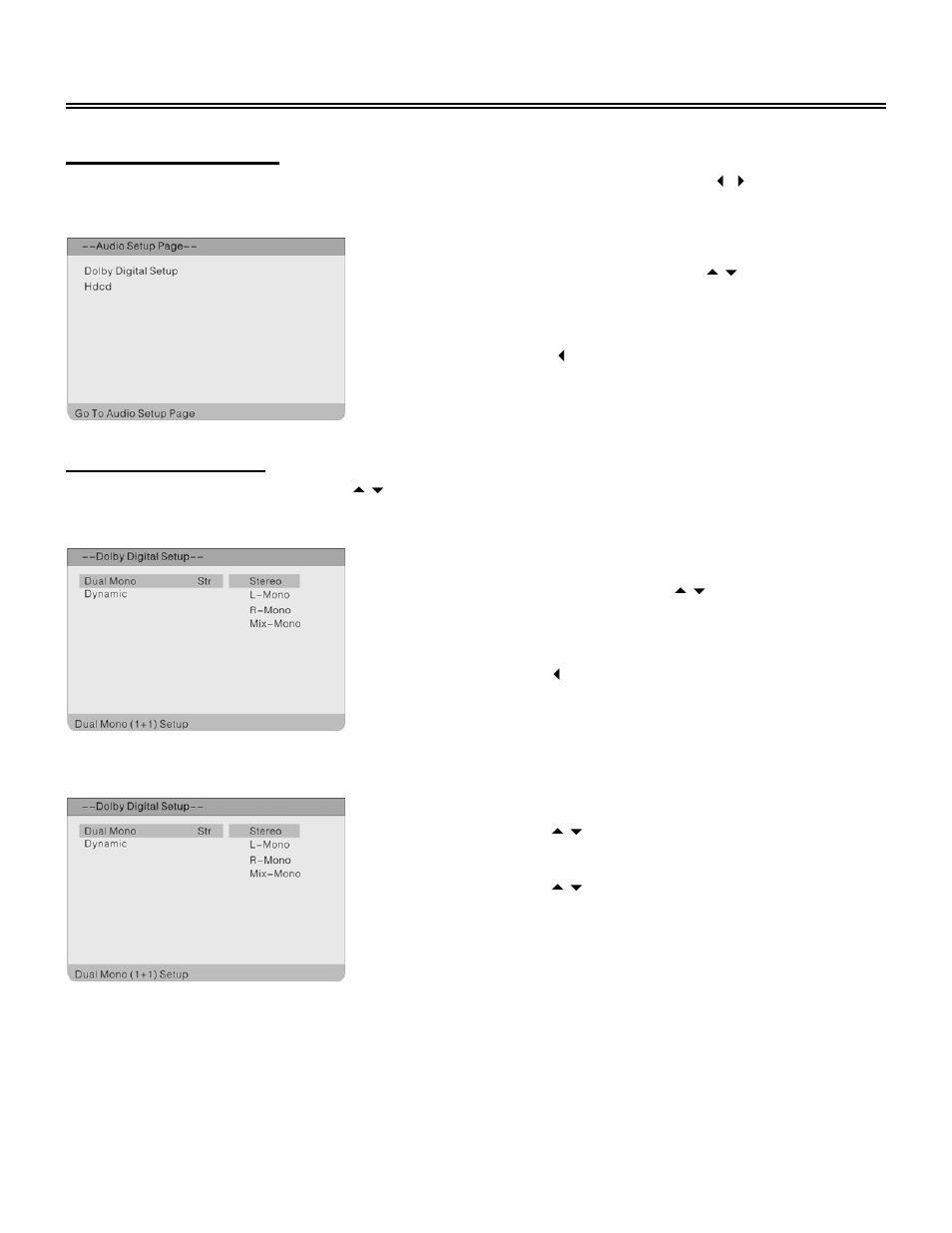 Dvd system setup, Audio setup page | Polaroid 20070918 User Manual | Page 39 / 48