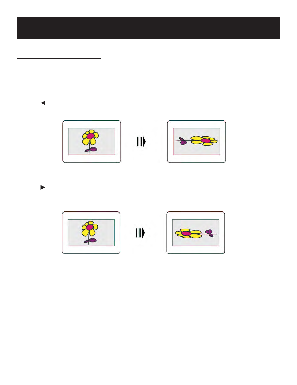 Playback operation | Polaroid PDM-8553M User Manual | Page 23 / 31