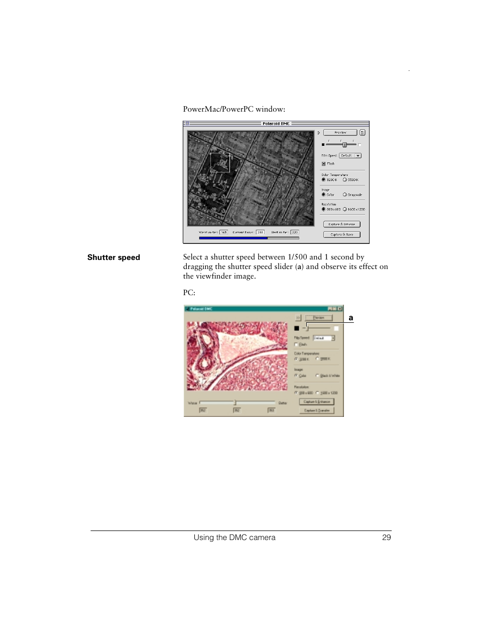 Polaroid Digital Microscope Camera User Manual | Page 33 / 52