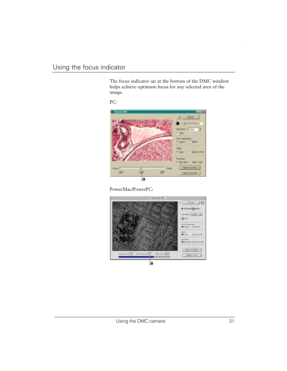 Using the focus indicator | Polaroid Digital Microscope Camera User Manual | Page 35 / 52