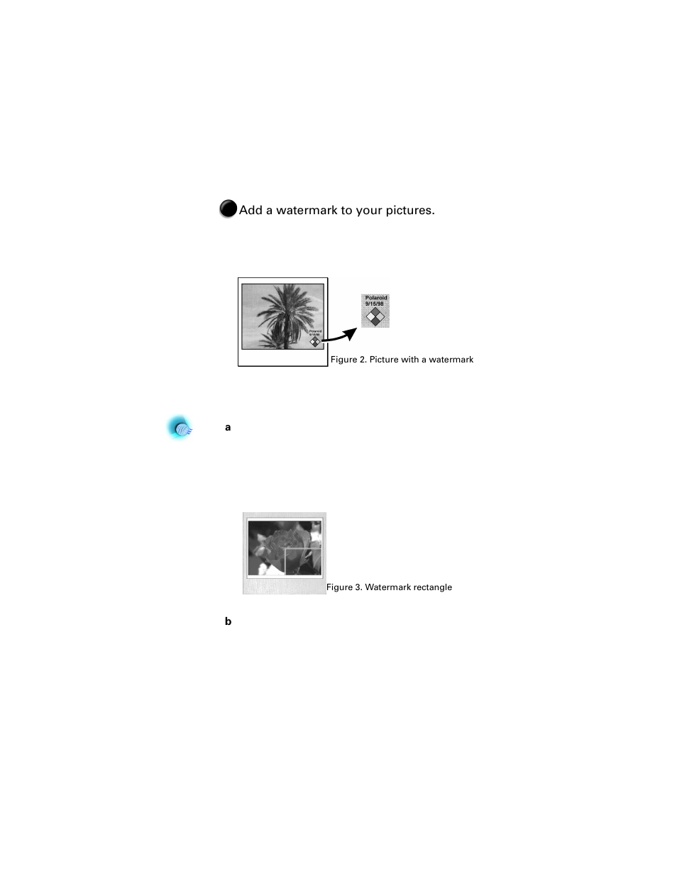 Polaroid Direct Connect Adapter User Manual | Page 10 / 34