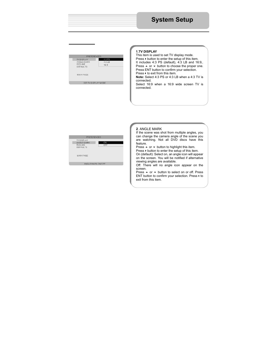 System setup | Polaroid PDM-2727 User Manual | Page 31 / 144