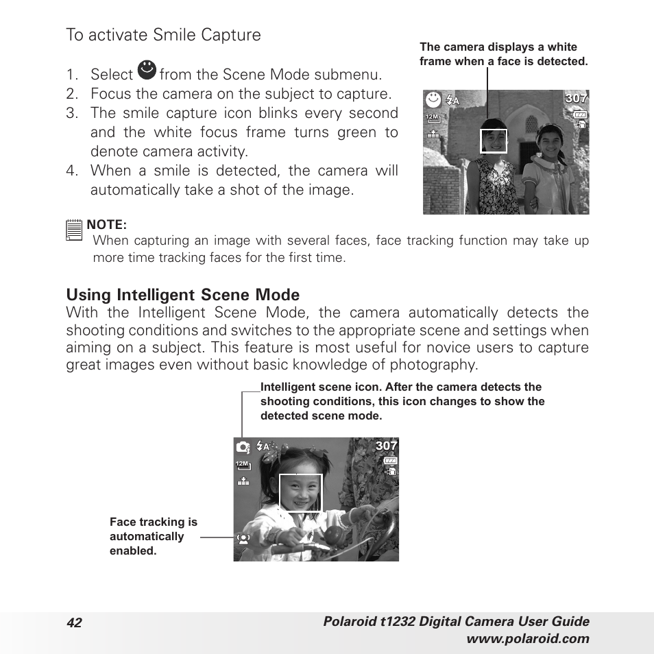 Using intelligent scene mode | Polaroid t1232 User Manual | Page 42 / 95