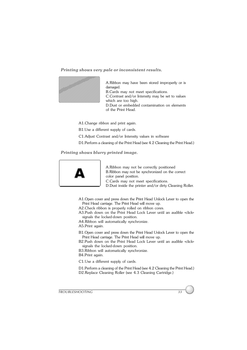 Polaroid P100 User Manual | Page 39 / 52