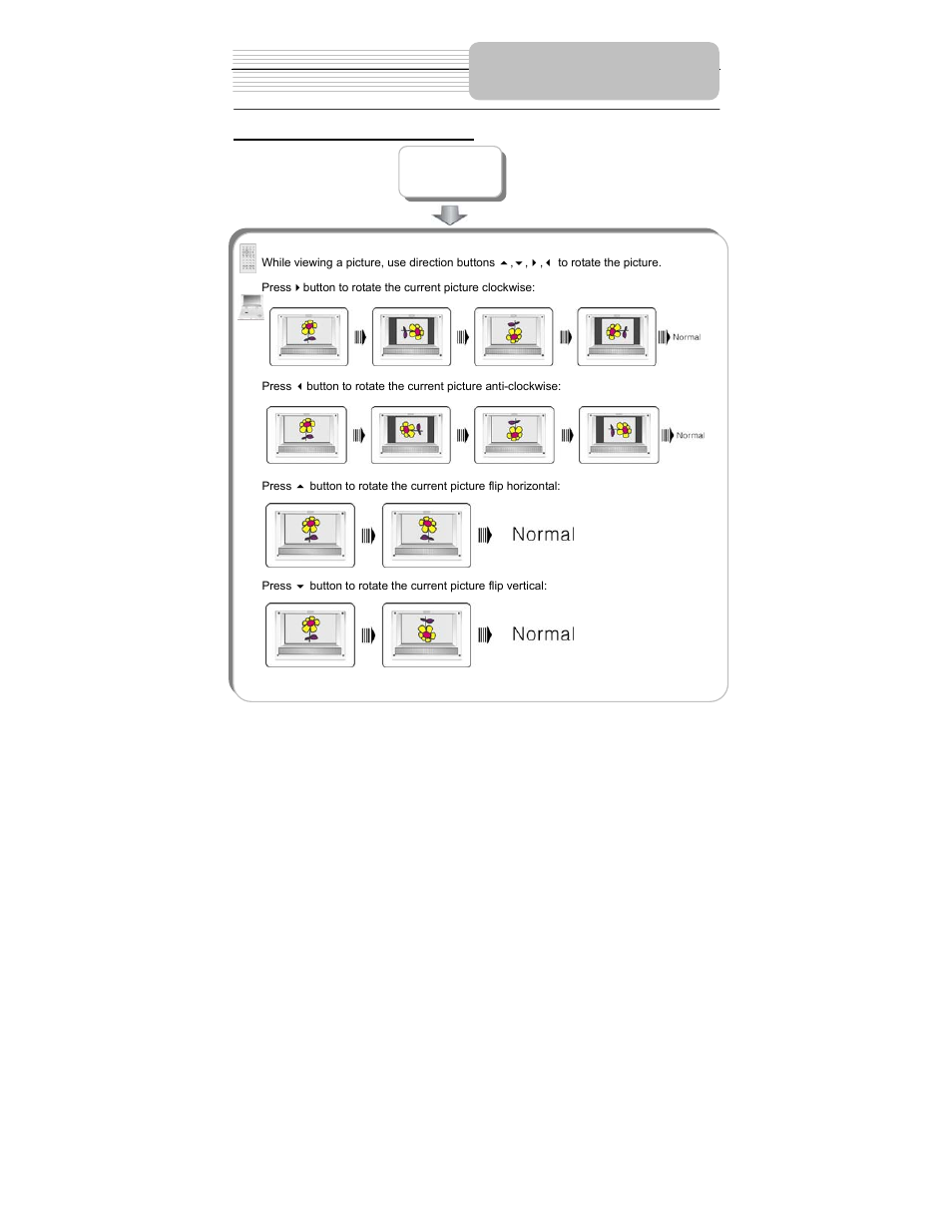 Playback operation | Polaroid PDM-1035 User Manual | Page 33 / 46