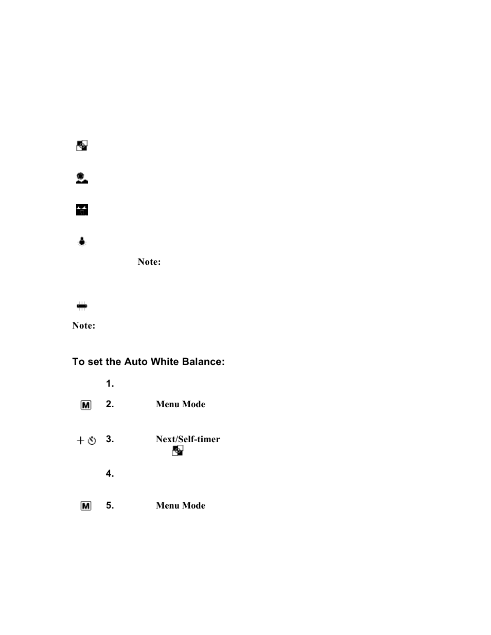 Setting the auto white balance | Polaroid PhotoMAX PDC 700 User Manual | Page 17 / 59