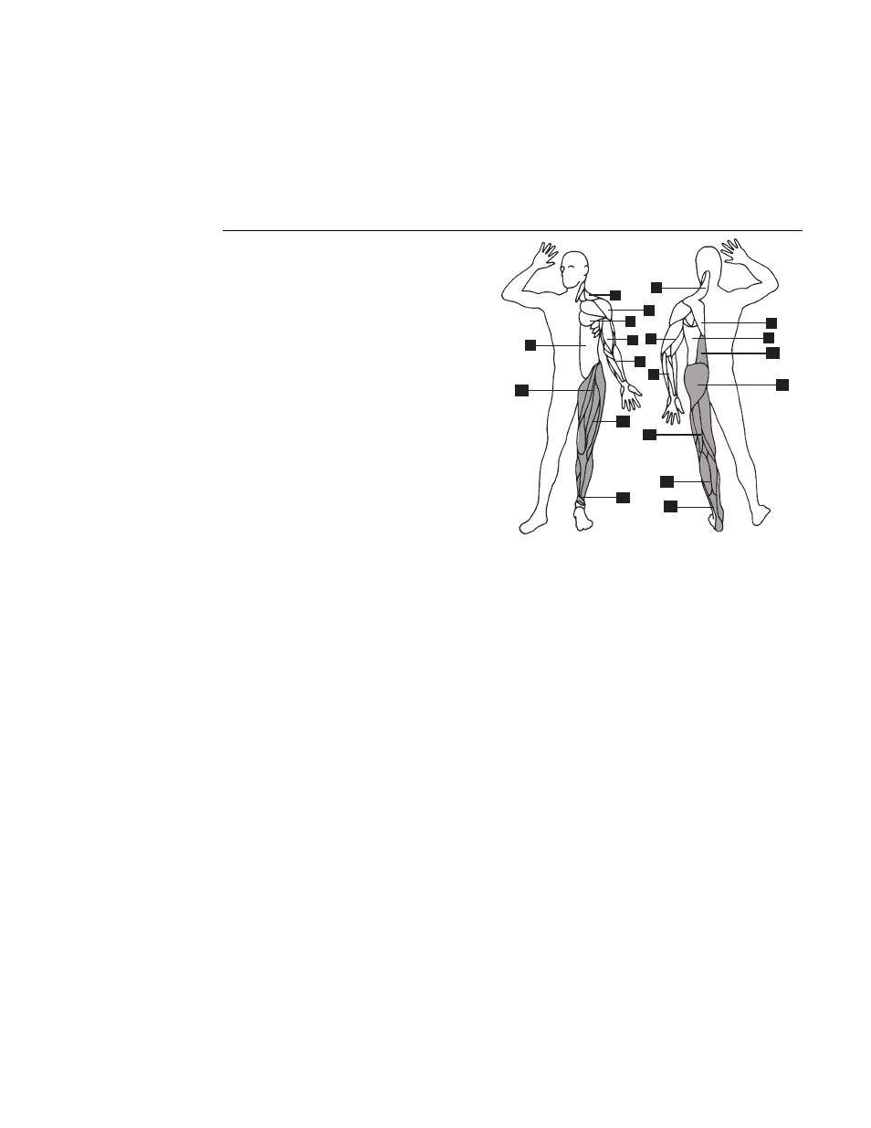 General aerobic training information | Precor Total Body 904 User Manual | Page 21 / 28