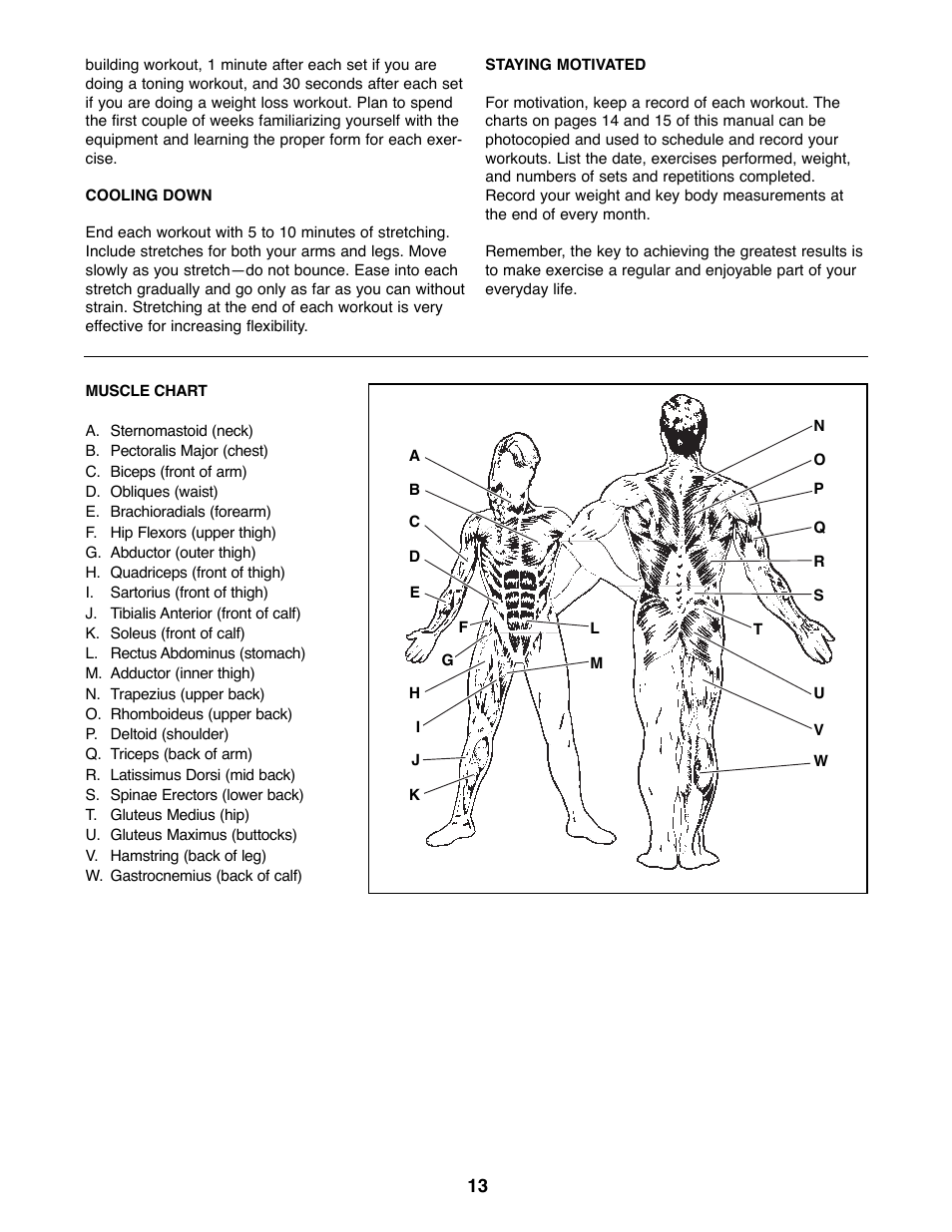 ProForm PFBE19000 User Manual | Page 13 / 19