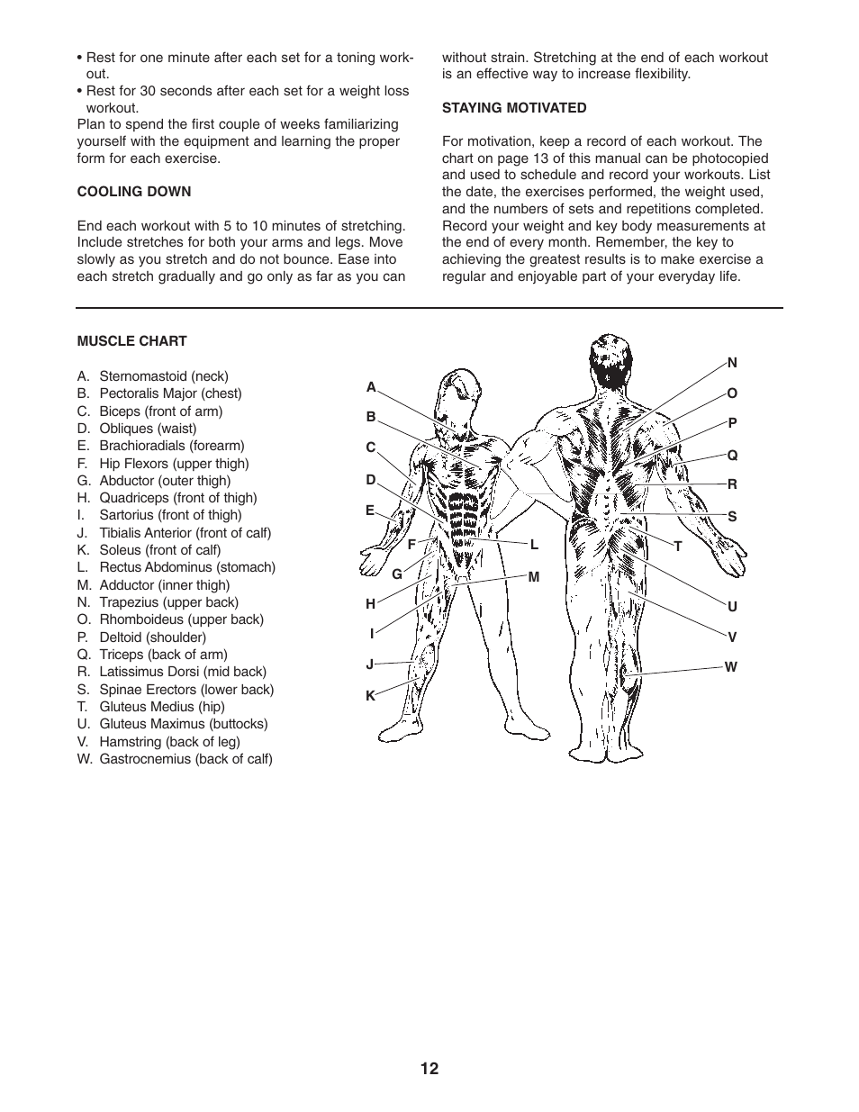 ProForm HGBE8991.1 User Manual | Page 12 / 16