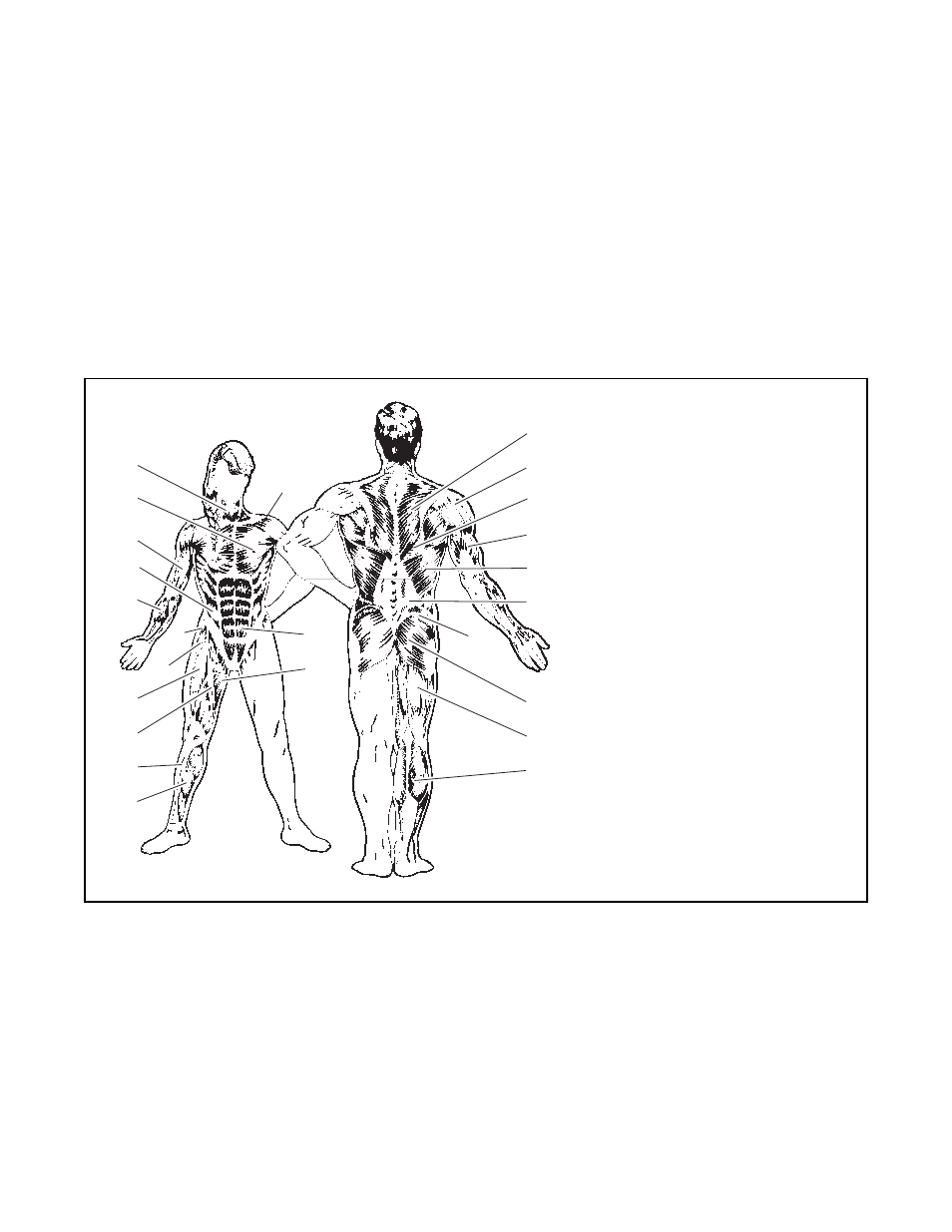 ProForm PFB48030 User Manual | Page 25 / 34