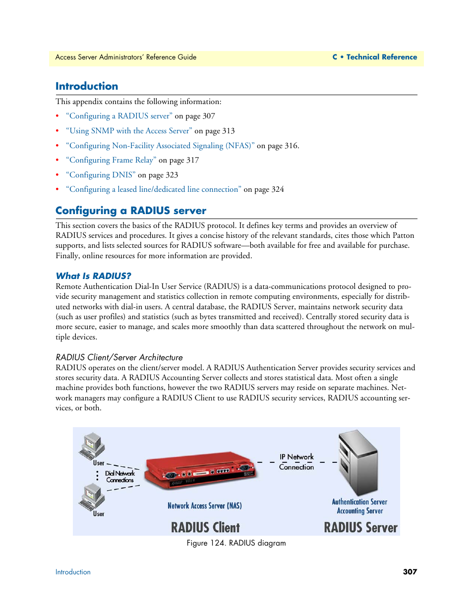 Introduction, Configuring a radius server, What is radius | Radius client/server architecture | Patton electronic 29XX User Manual | Page 307 / 326