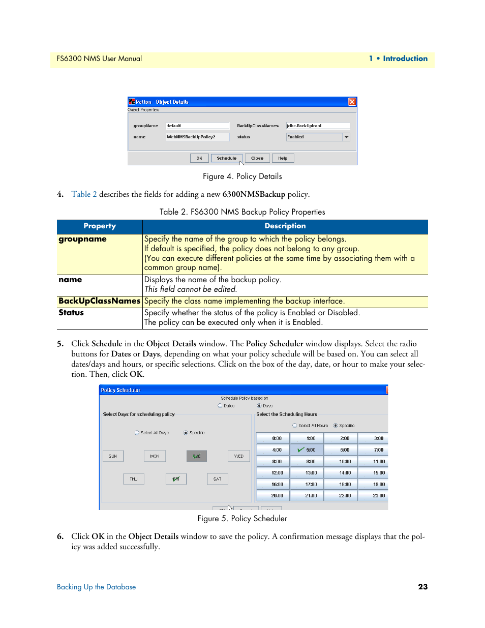 Policy details, Policy scheduler | Patton electronic FORESIGHT 6300 User Manual | Page 23 / 145