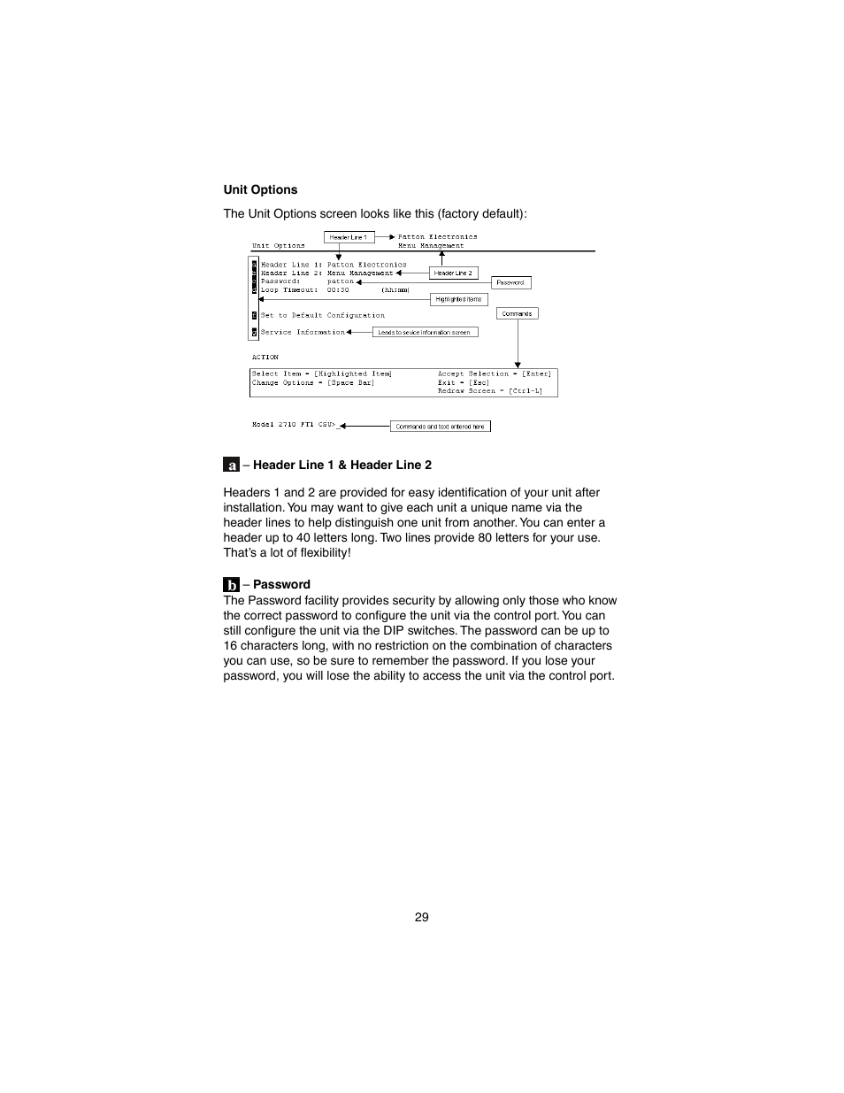 Unit options | Patton electronic 2710 User Manual | Page 29 / 44