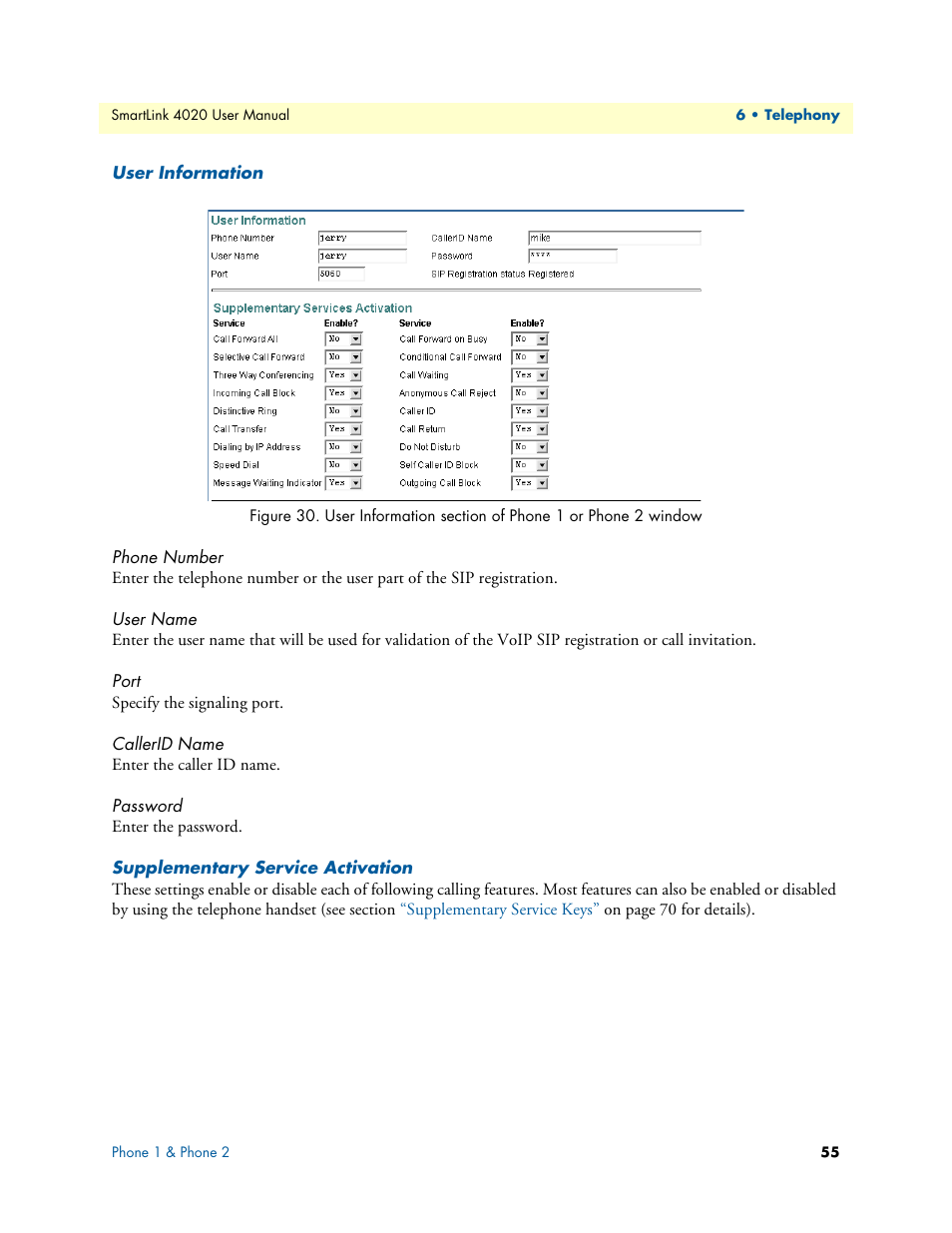 User information, Phone number, User name | Port, Callerid name, Password, Supplementary service activation, Figure 30 | Patton electronic SL4020 User Manual | Page 55 / 97