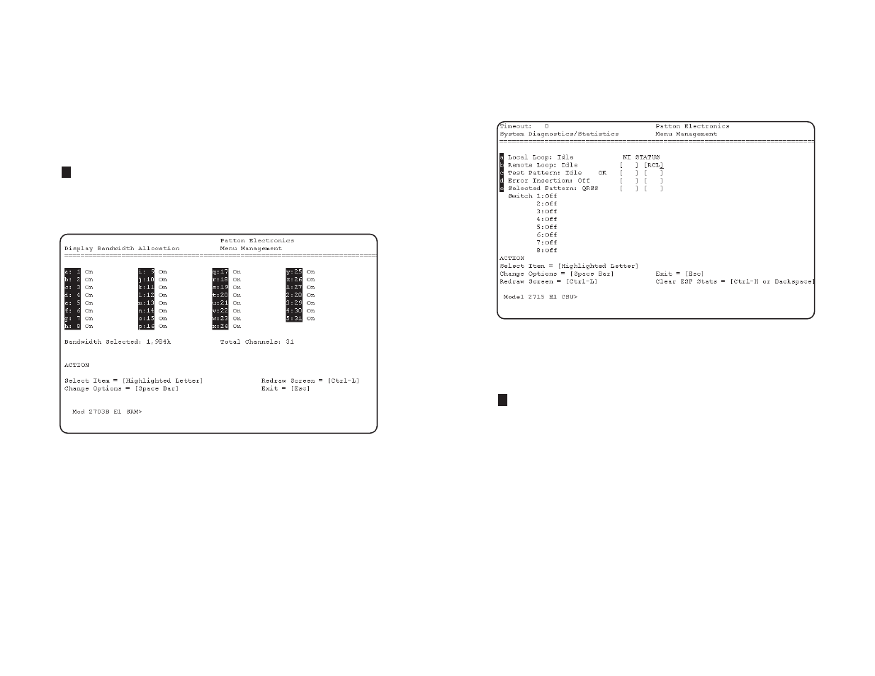 Patton electronic NetLink-E1 2715 User Manual | Page 11 / 20