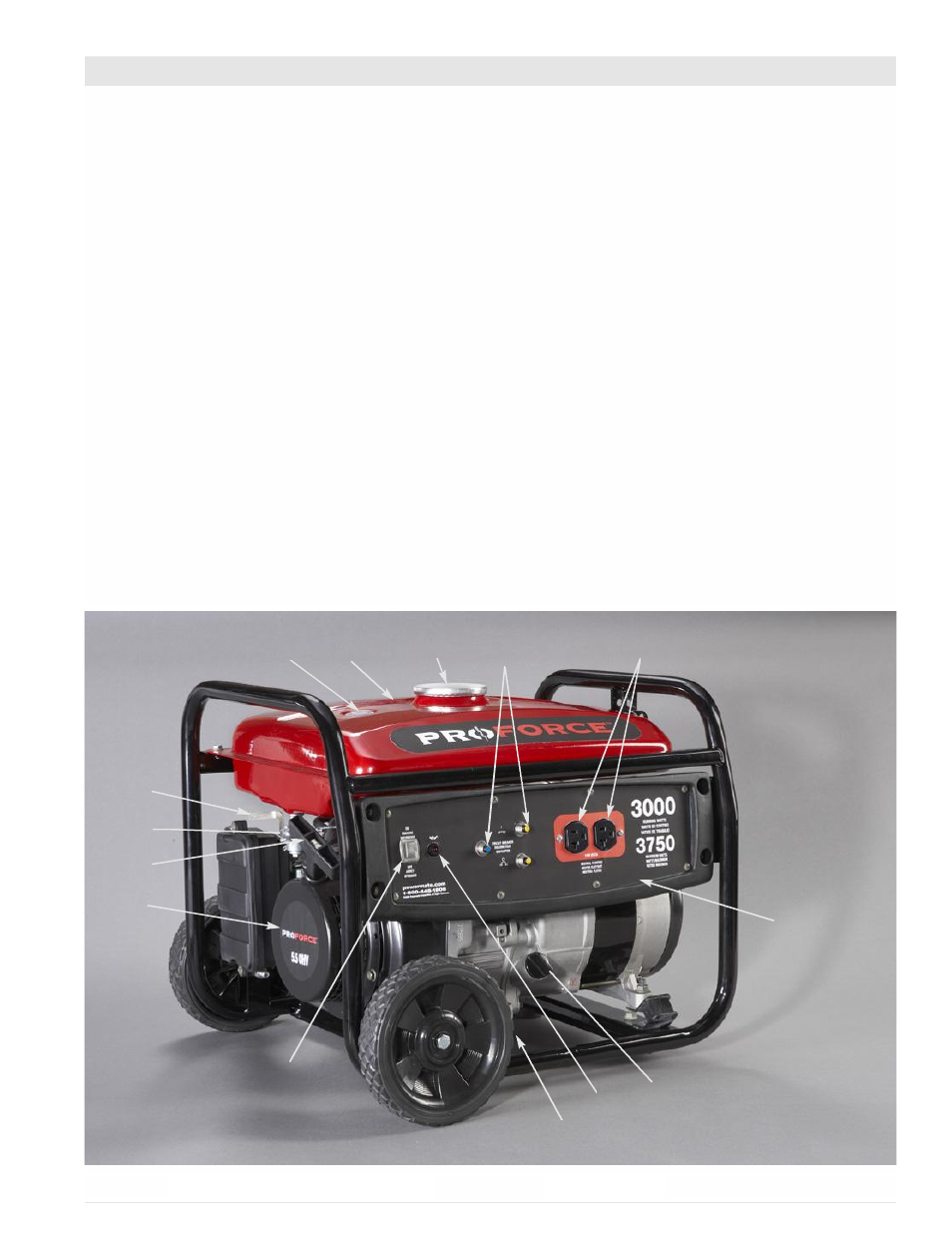 Powermate Proforce PM0103000 User Manual | Page 29 / 40