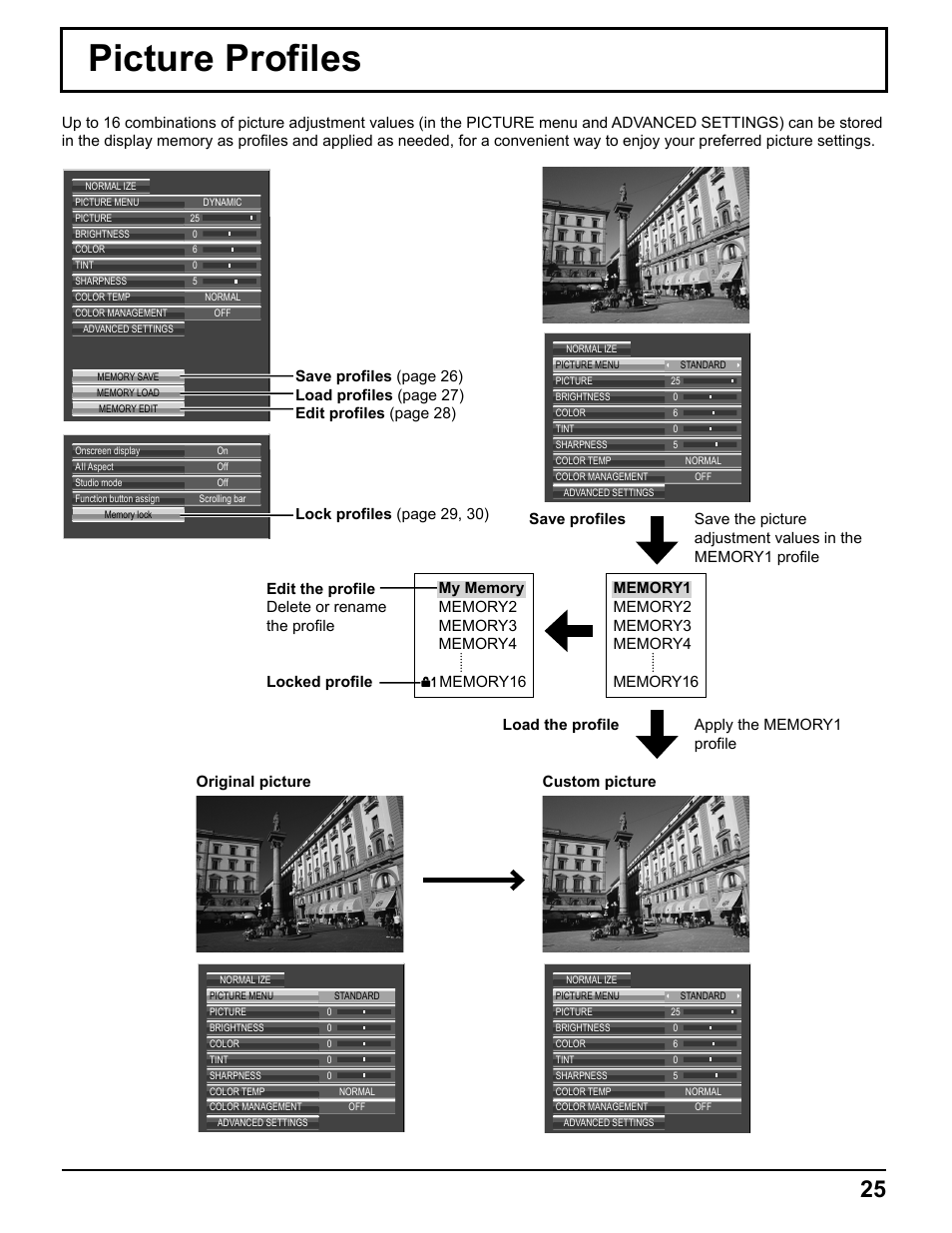 Picture profiles | Pelican TH-50VX100U User Manual | Page 25 / 56