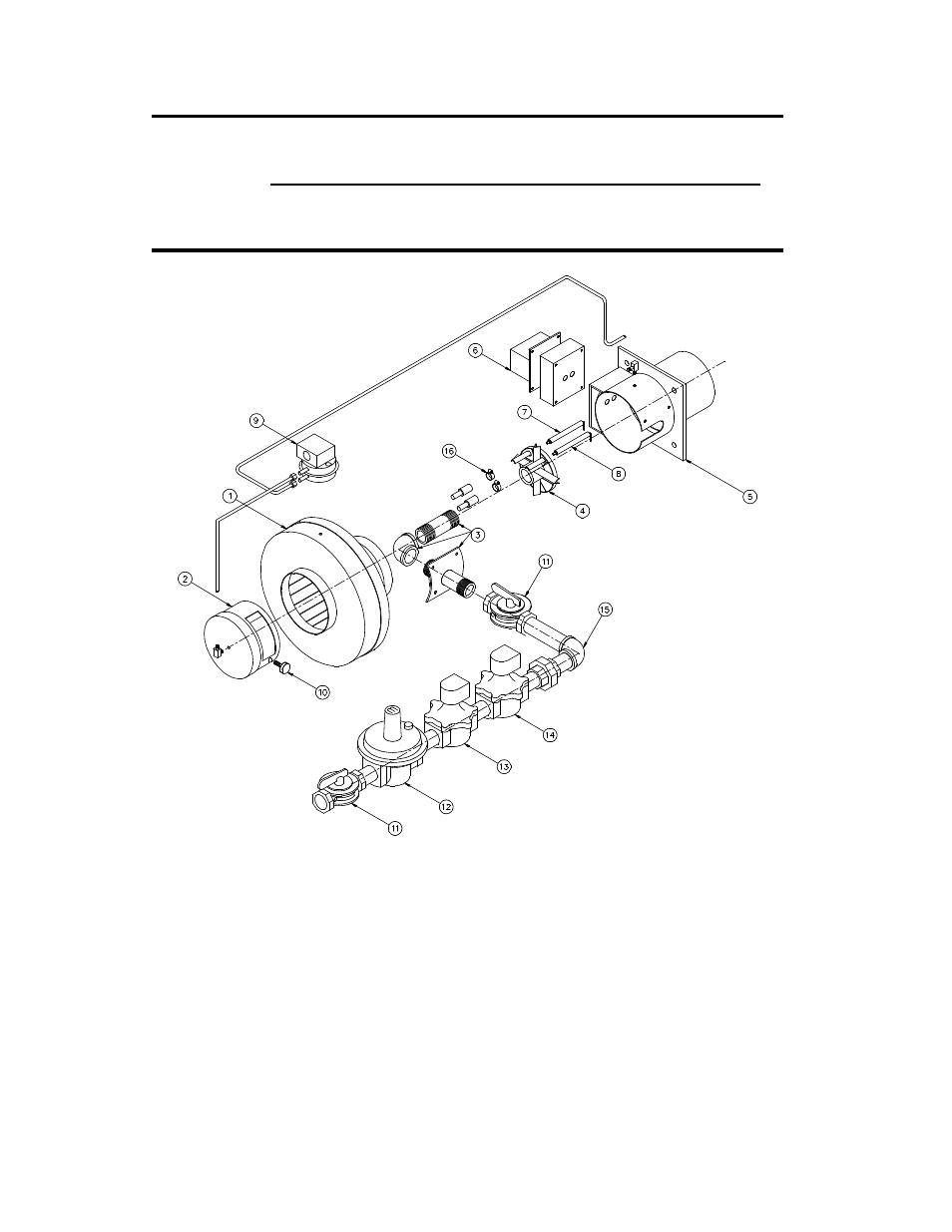 Maxim, Axial flow gas burner, Carbon monoxide warning | PVI Industries MAXIM INTEGRATED WATER HEATING SYSTEM User Manual | Page 6 / 12