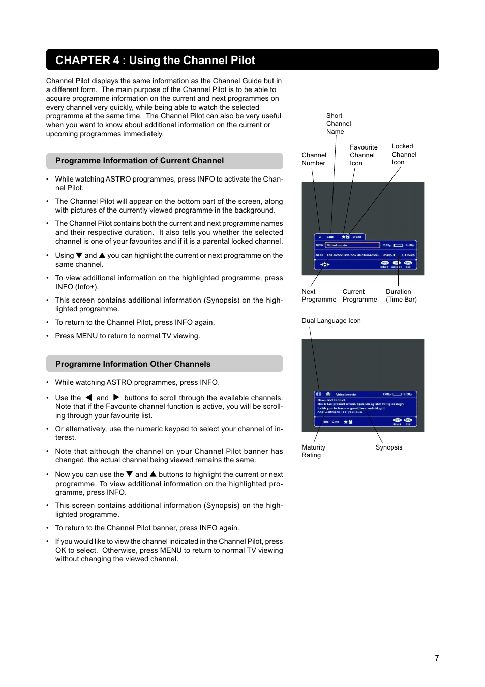 Chapter 4 : using the channel pilot | Nokia DIGITAL MULTIMEDIA TERMINAL User Manual | Page 7 / 24