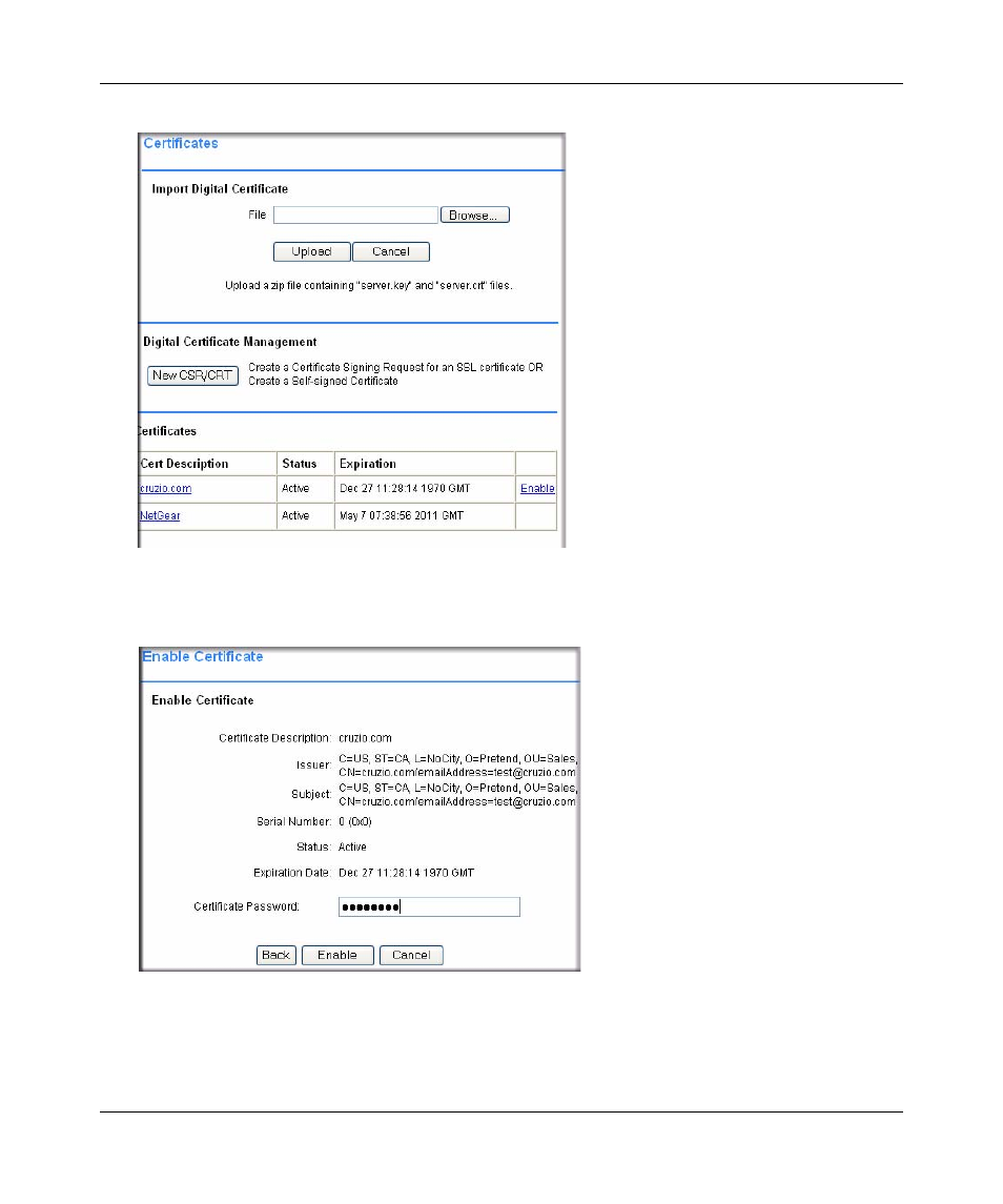 NETGEAR ProSafe SSL312 User Manual | Page 31 / 120