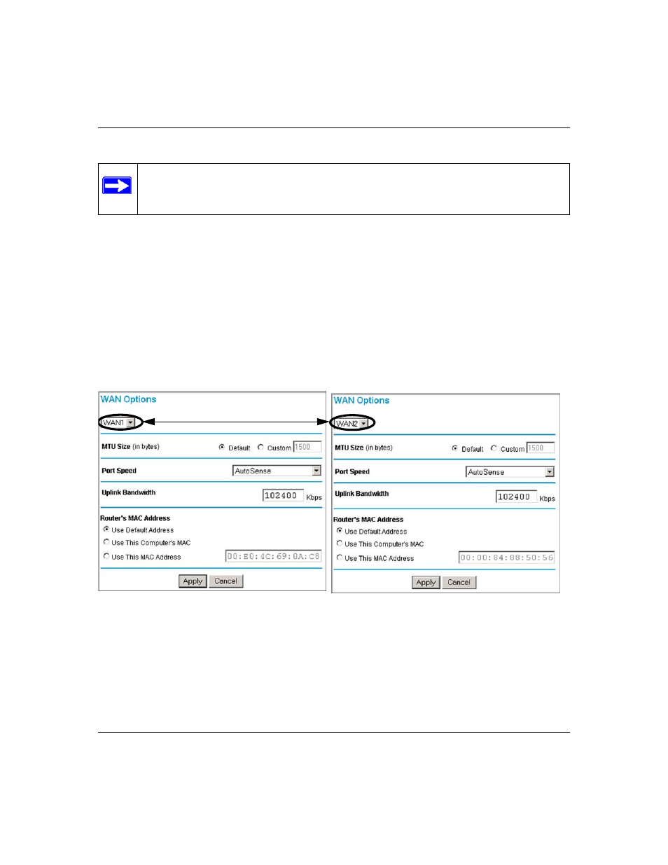 Step 6: configure the wan options (if needed), Step 6: configure the wan options (if needed) -23, Figure 4-10 | NETGEAR ProSafe FVS124G User Manual | Page 67 / 238