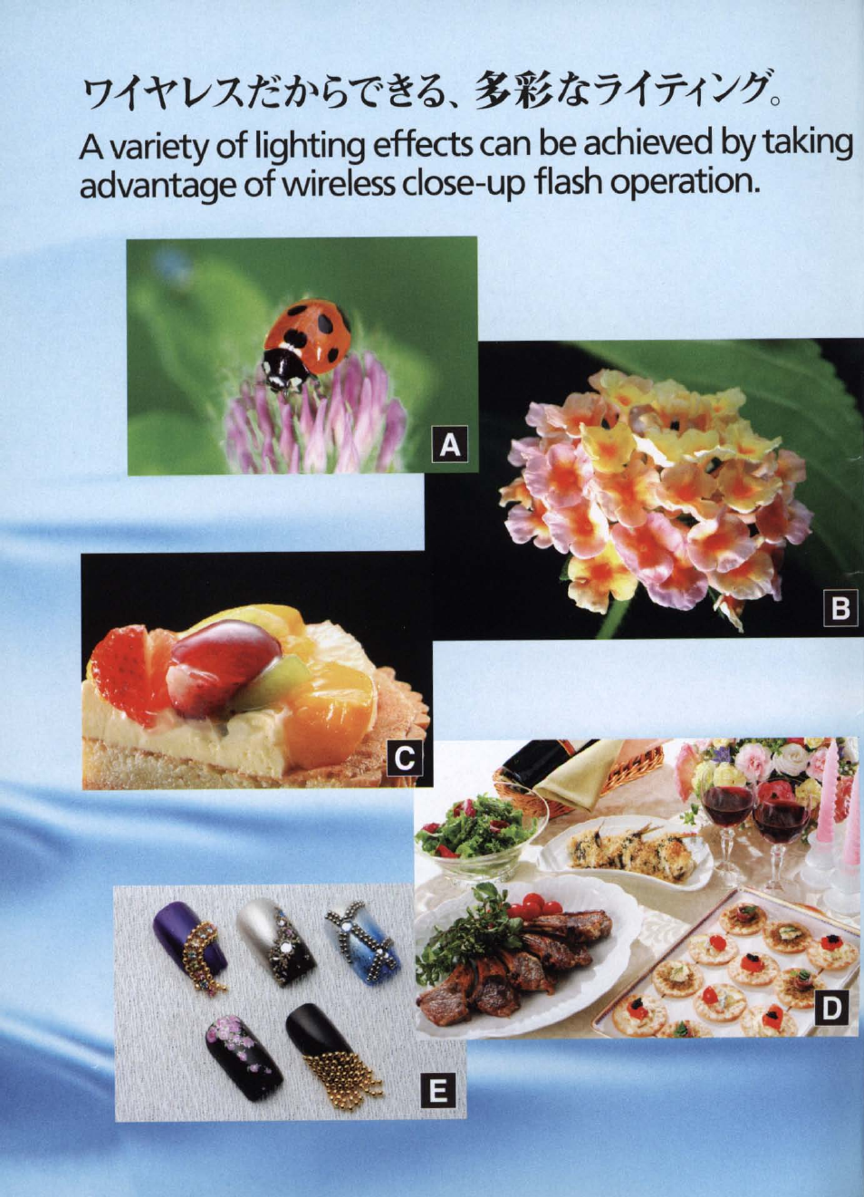 Nikon SB R200 User Manual | Page 2 / 24