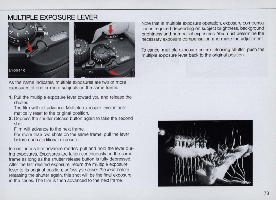Nikon F4 User Manual | Page 73 / 181