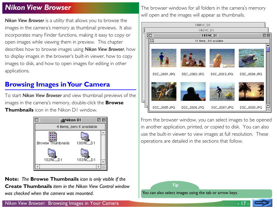 Nikon view browser, Browsing images in your camera | Nikon View DX User Manual | Page 17 / 38