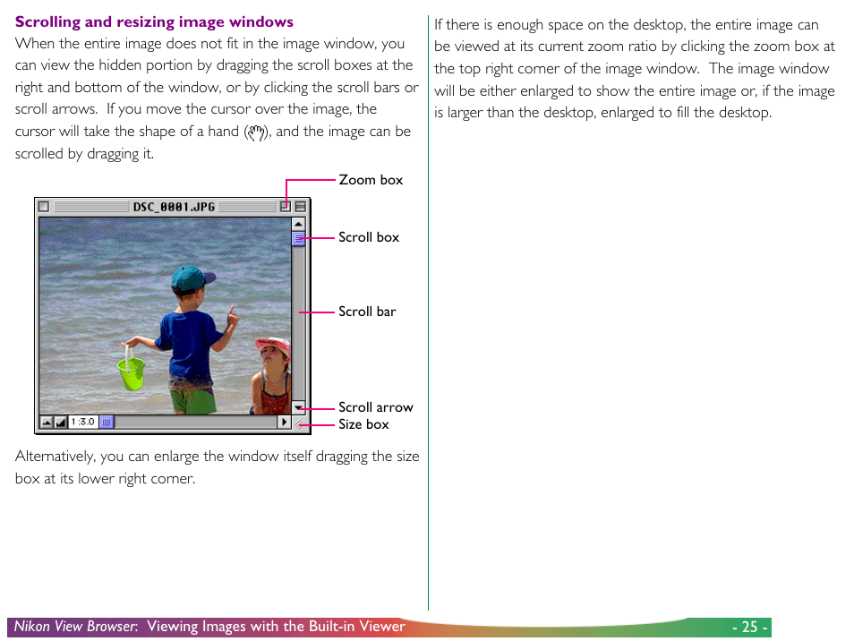 Nikon View DX User Manual | Page 25 / 38