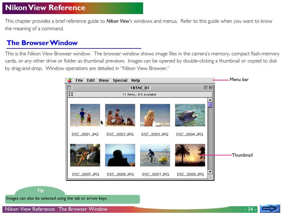 Nikon view reference, The browser window | Nikon View DX User Manual | Page 34 / 38