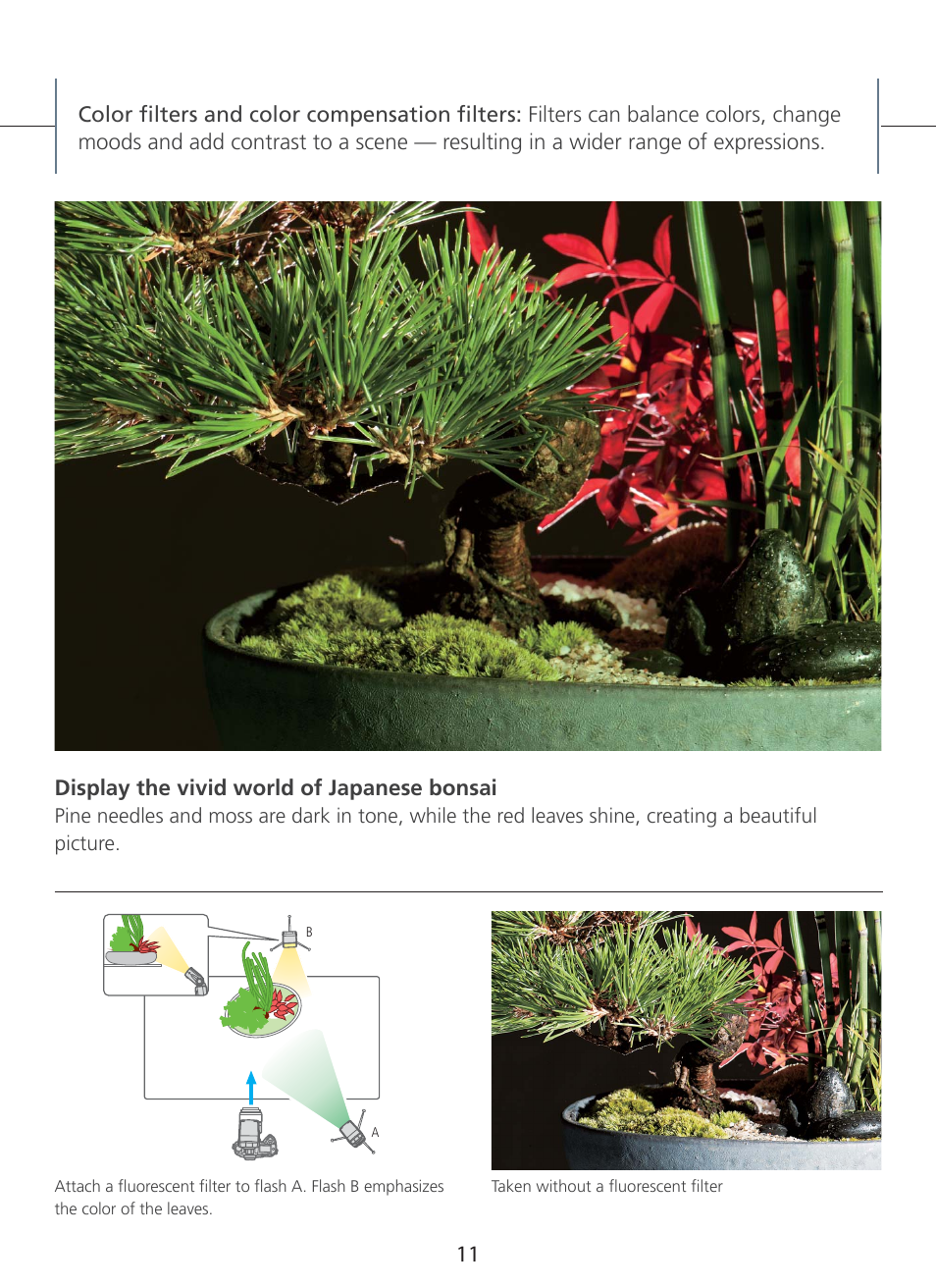 Display the vivid world of japanese bonsai | Nikon SB-910 User Manual | Page 11 / 20