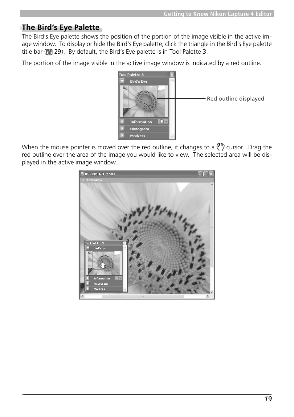 The bird’s eye palette | Nikon Capture 4 User Manual | Page 23 / 161