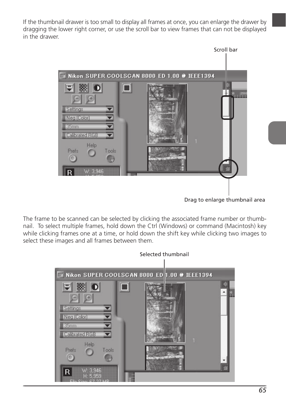 Nikon LS8000 User Manual | Page 75 / 148