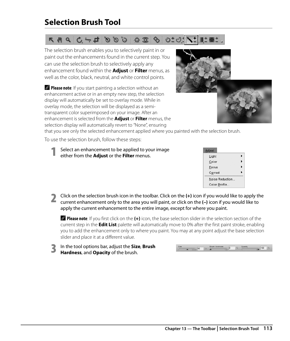 Selection brush tool | Nikon CAPTURE NX2 User Manual | Page 115 / 268