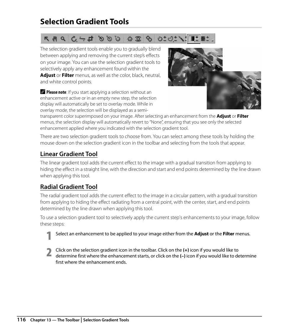 Selection gradient tools, Linear gradient tool, Radial gradient tool | Nikon CAPTURE NX2 User Manual | Page 118 / 268