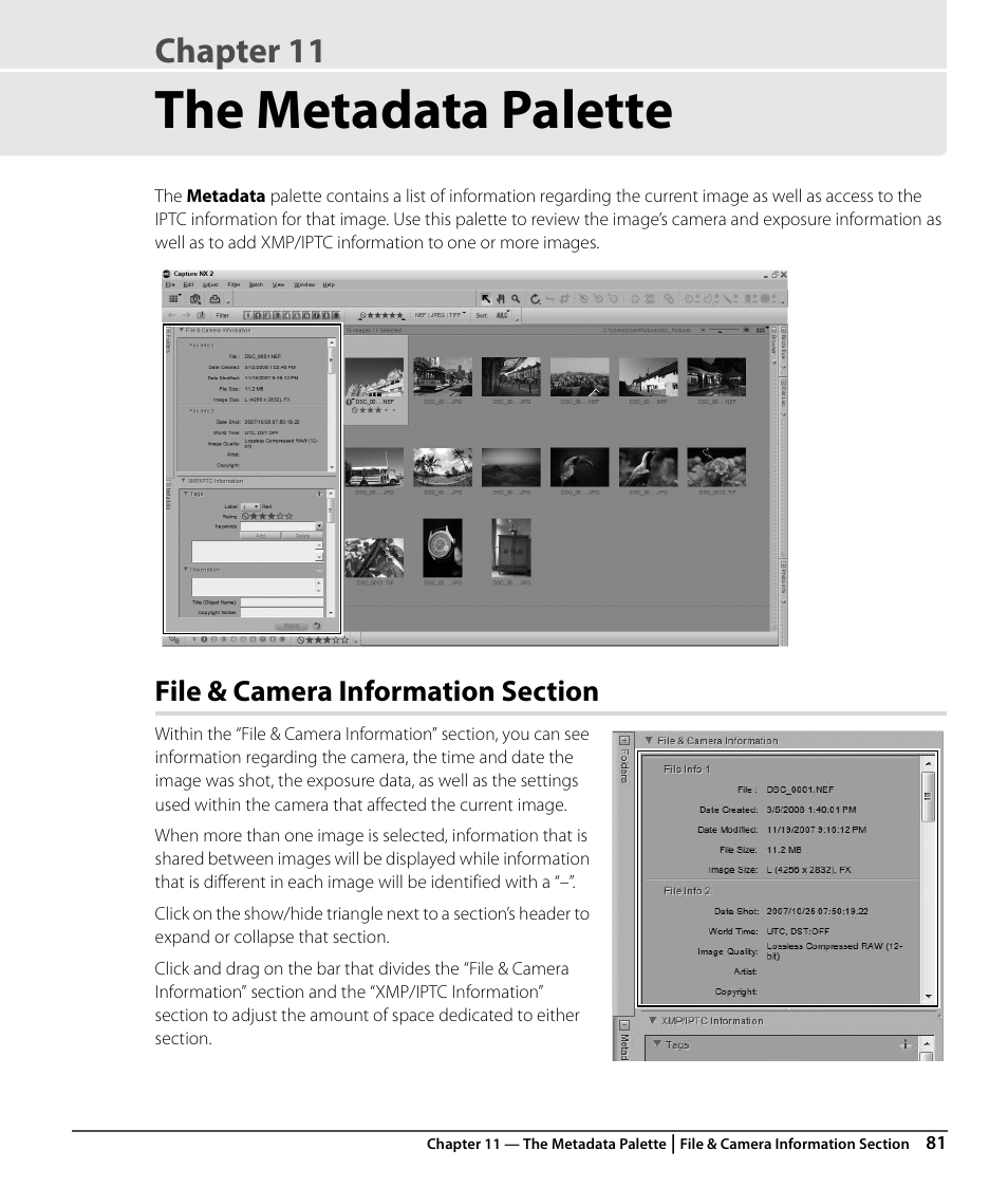 The metadata palette, File & camera information section, Chapter 11 | Nikon CAPTURE NX2 User Manual | Page 83 / 268